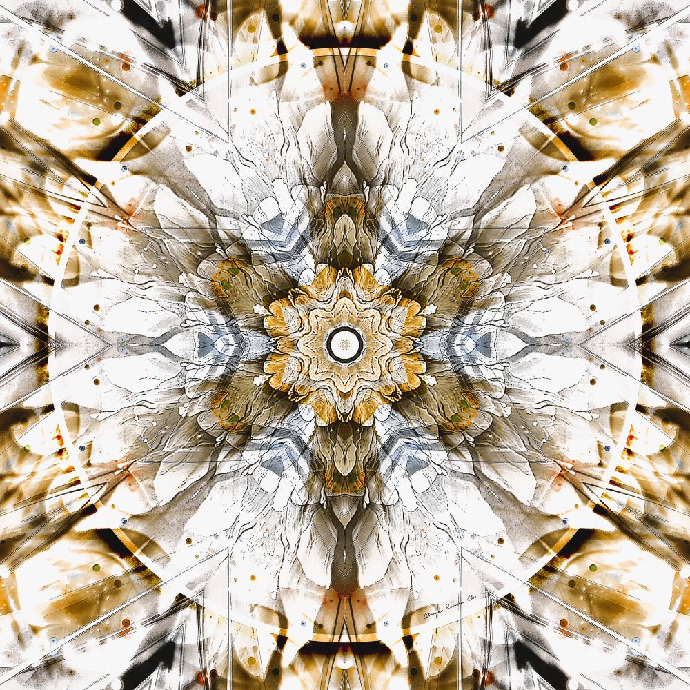 01 - Les cycles et transits