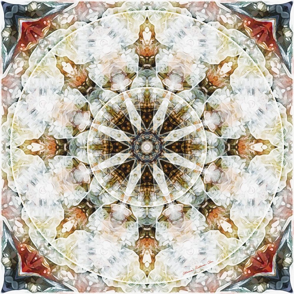 03 - Les éléments 2