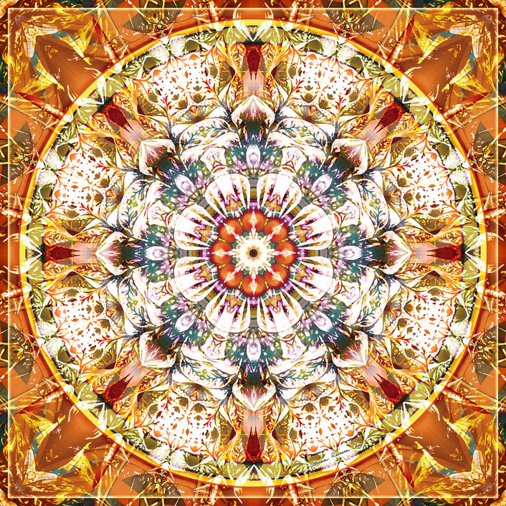 anima